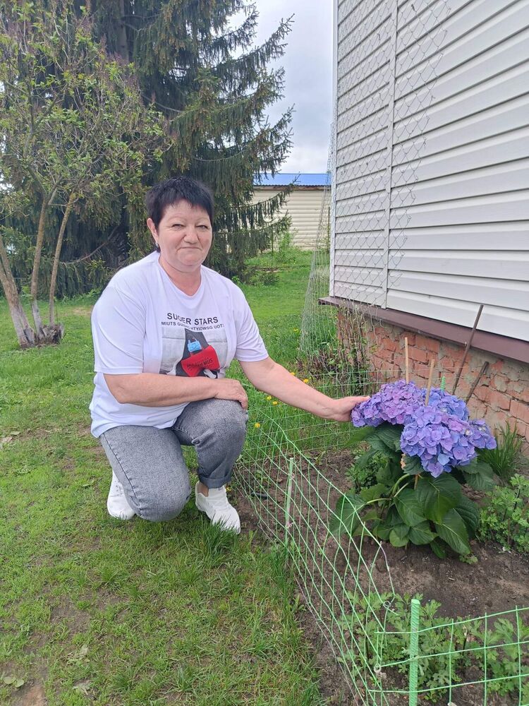 ���������� �������, ���� ������� ��������, 60 ���, ������������ ��� c�������� ���������, ���������