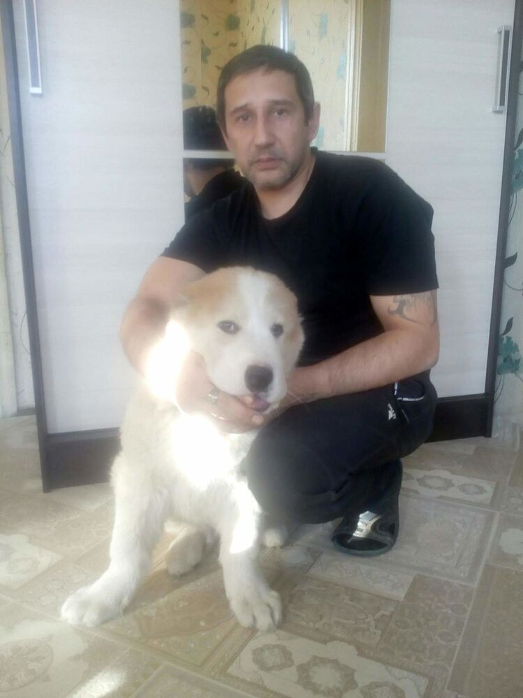 ���� 18027823 ������� �������, 50 ���, ���� ���������� � ����������