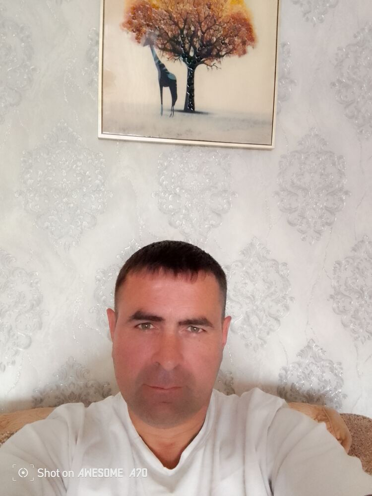  46428963  , 42 ,    