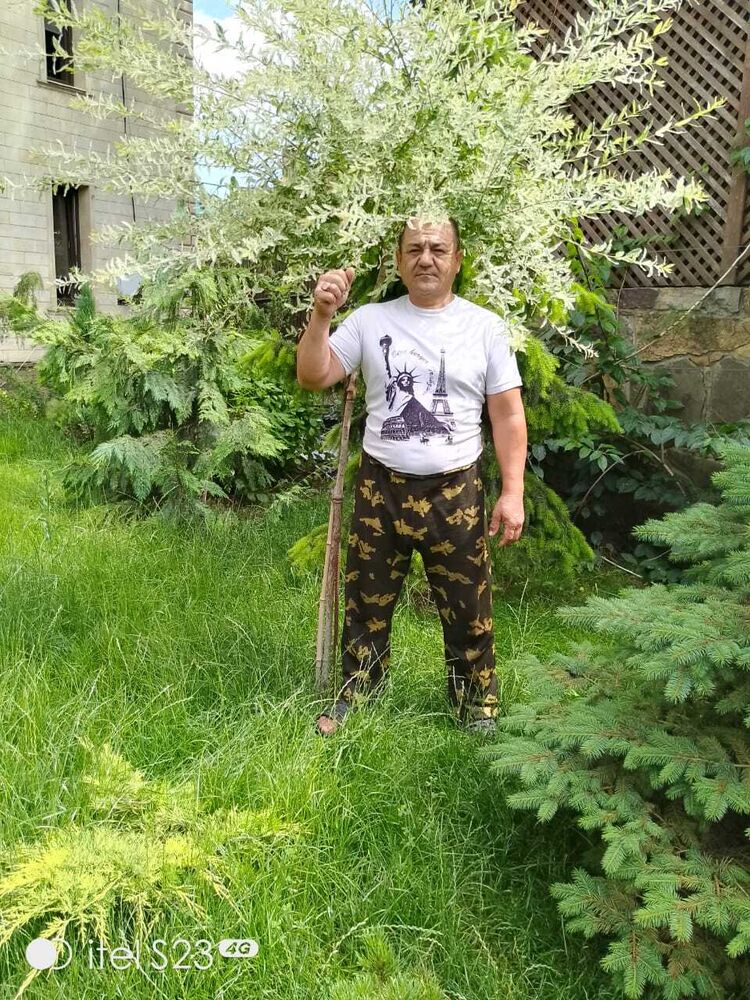  --,   , 49 ,   ,   