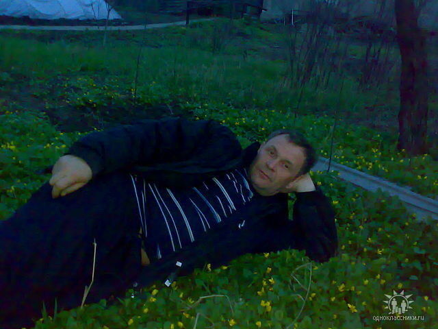 ���� 17678803 ������� ����, 55 ���, ���� ���������� � ������