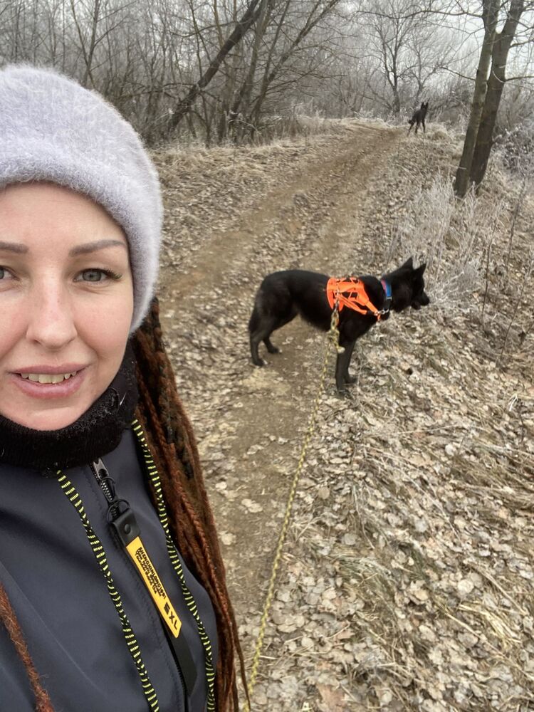 ���������� �������, ���� ������� Catalina, 35 ���, ������������ ��� ������, ���������