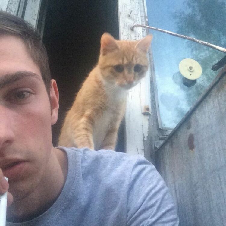 ���� 18777363 ������� ������, 26 ���, ���� ���������� � �����-����������