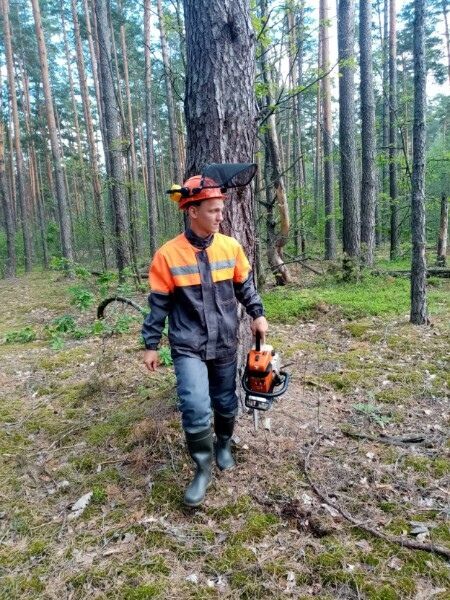 ���� 30619463 ����� ����, 25 ���, ���� ���������� � ������