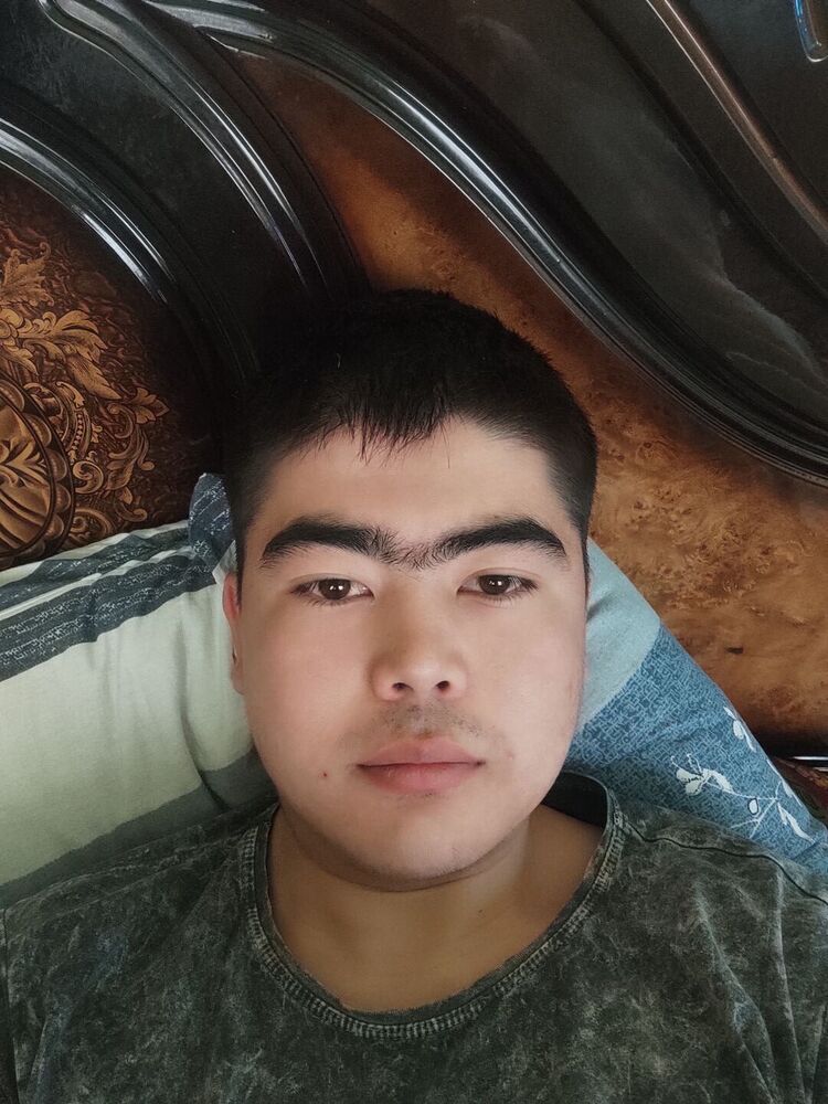  25314843  , 27 ,    