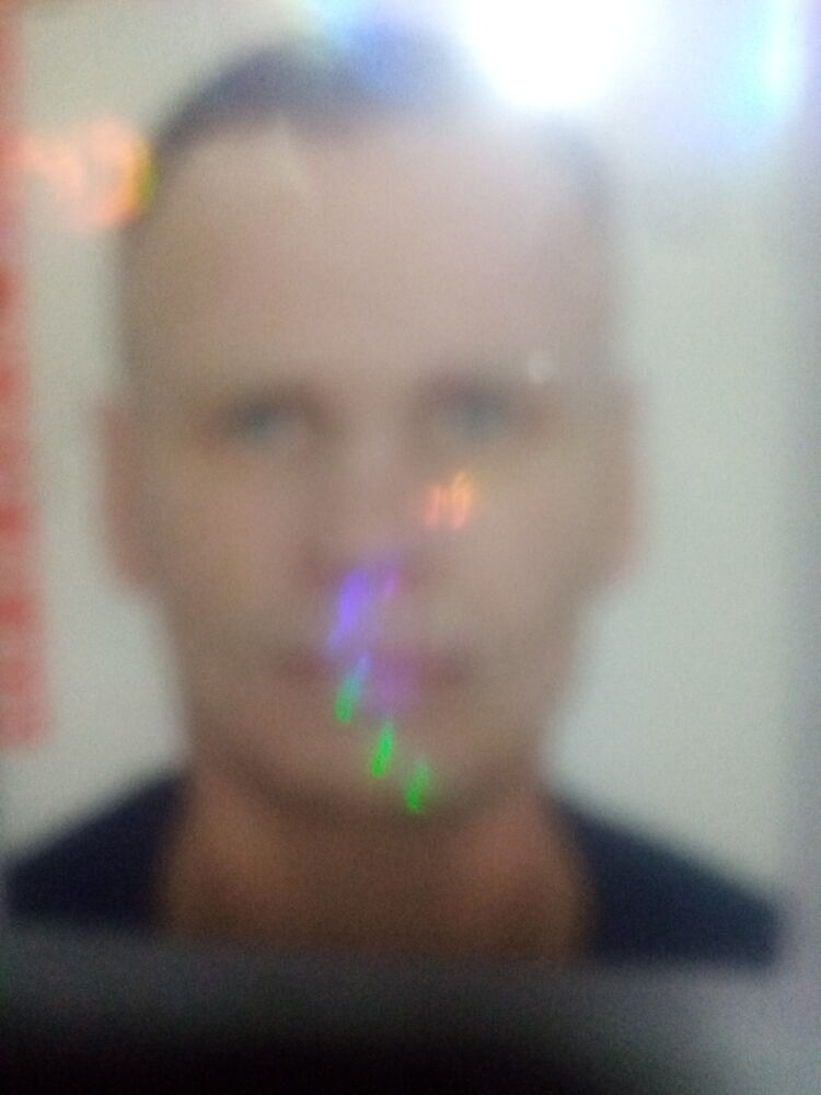  31204873  , 51 ,    