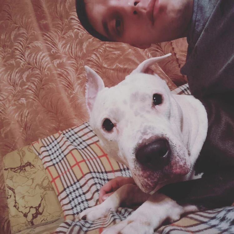 ���� 37878473 ������� �������, 34 ����, ���� ���������� � ���������� ������