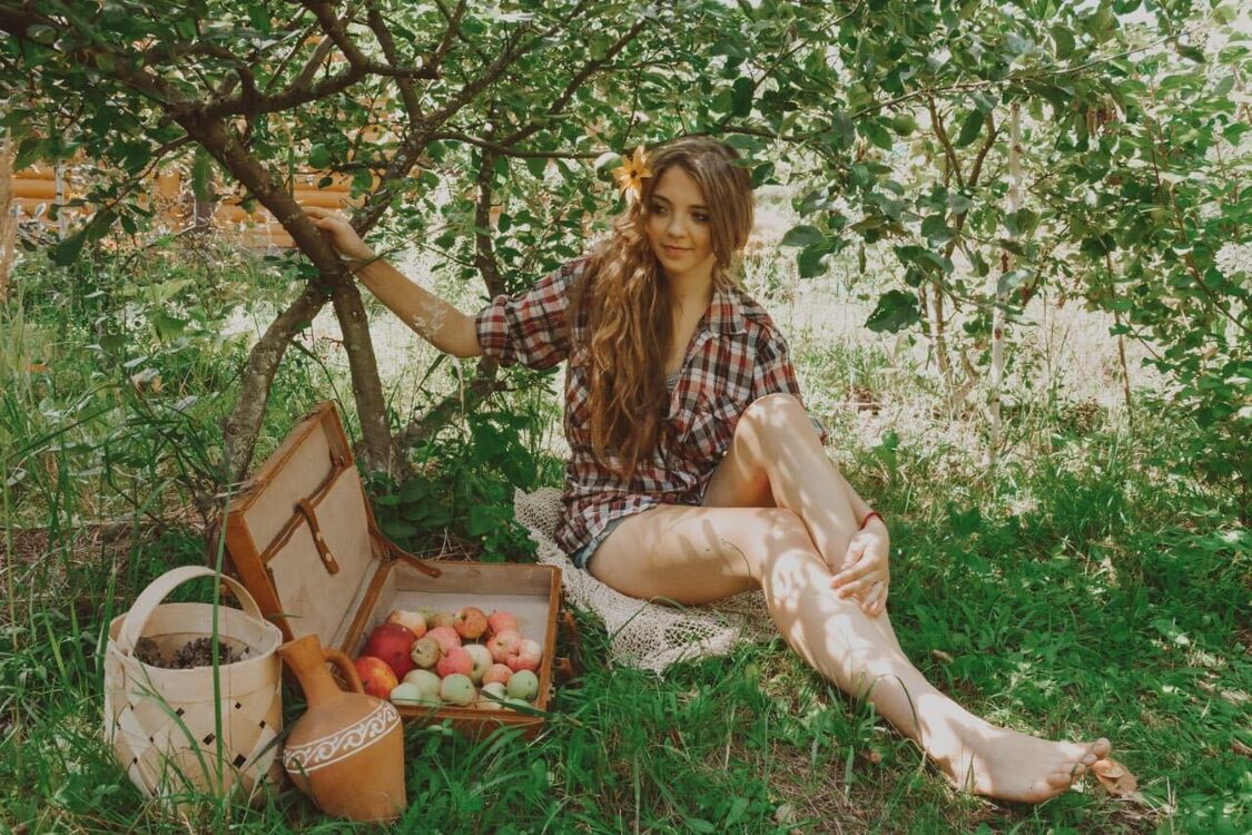 ���������� ������, ���� ������� ���������, 29 ���, ������������ ��� ������, ����� � ���������, c�������� ���������, ���������