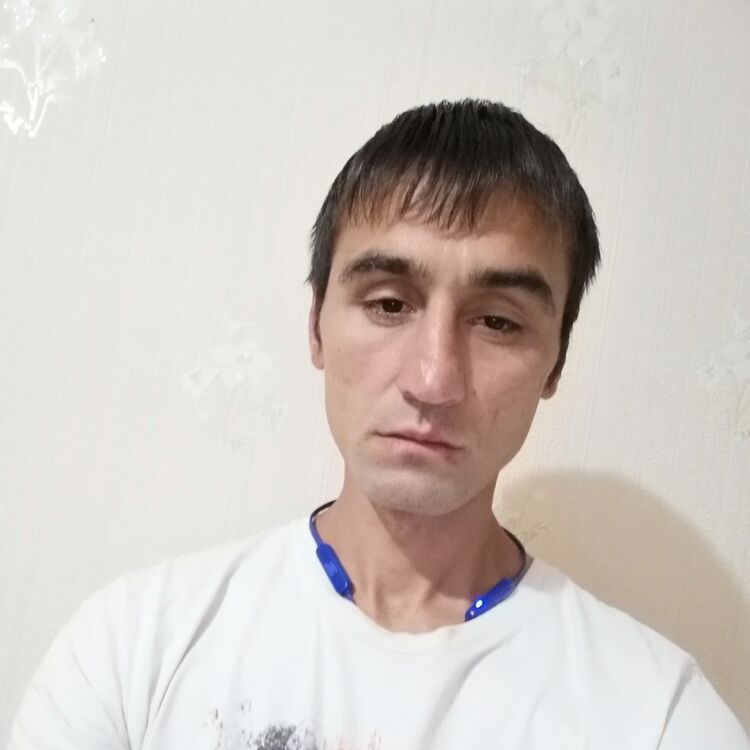  25275083  , 33 ,    