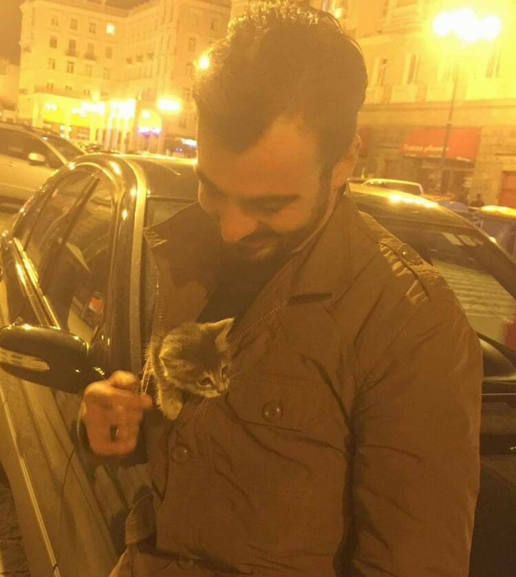 ���������� �������, ���� ������� Abraham, 35 ���, ������������ ��� ������, ����� � ���������, c�������� ���������, ���������