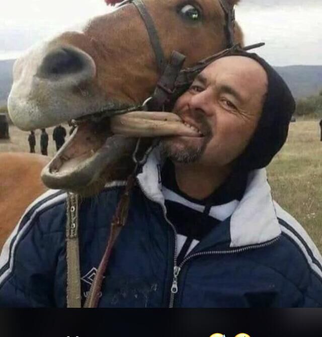 ,   , 40 ,   ,   , 