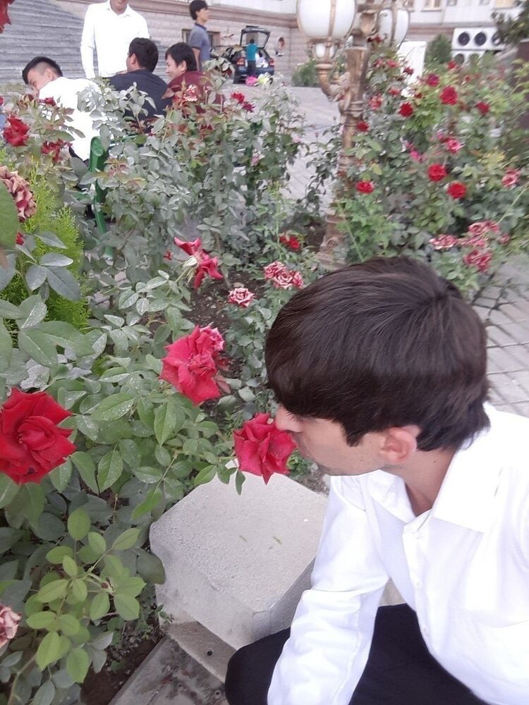  14859533  Talisman, 35 ,    