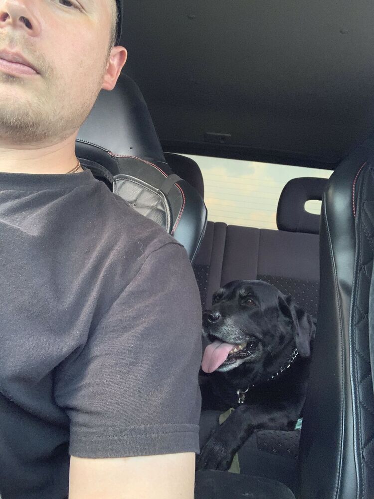 ���� 39442323 ������� ����, 35 ���, ���� ���������� � ��������