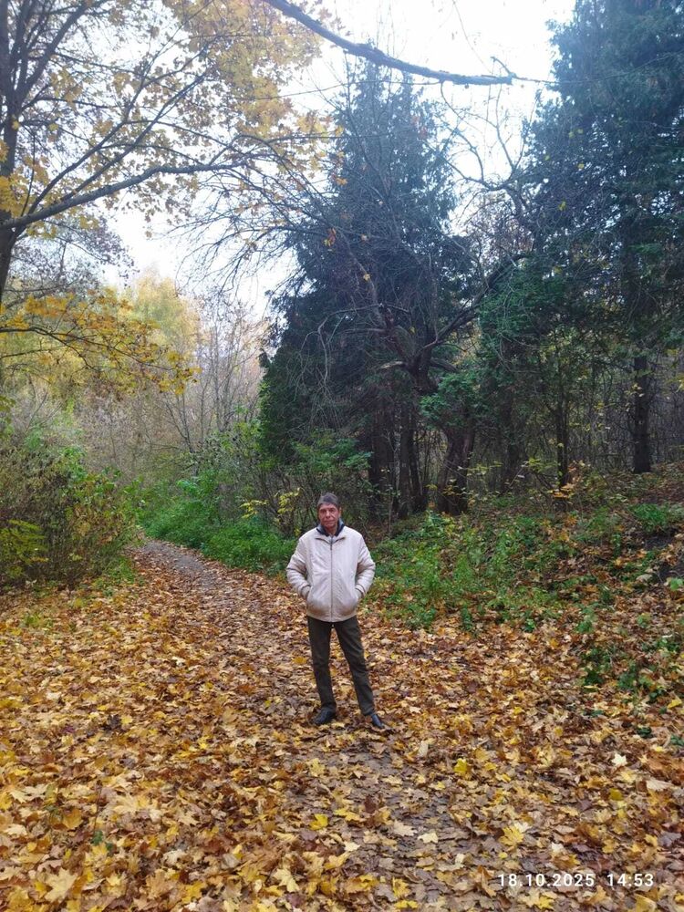 ���������� �������, ���� ������� ���������, 66 ���, ������������ ��� c�������� ���������