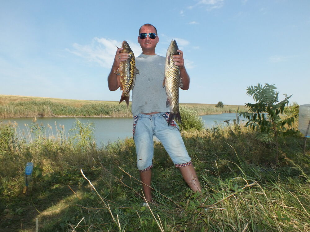 ���������� ���������, ���� ������� ��������, 43 ����, ������������ ��� ������, ����� � ���������, c�������� ���������