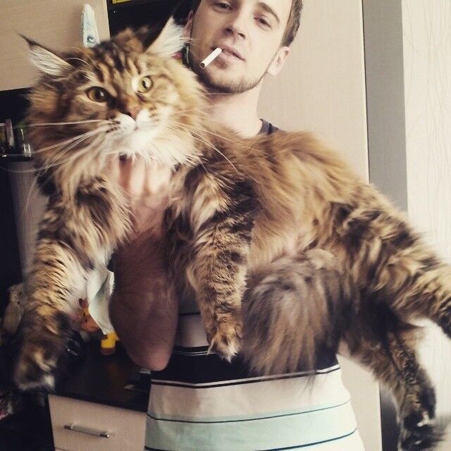 ���������� ����-���������, ���� ������� ������, 36 ���, ������������ ��� ������, ����� � ���������, c�������� ���������