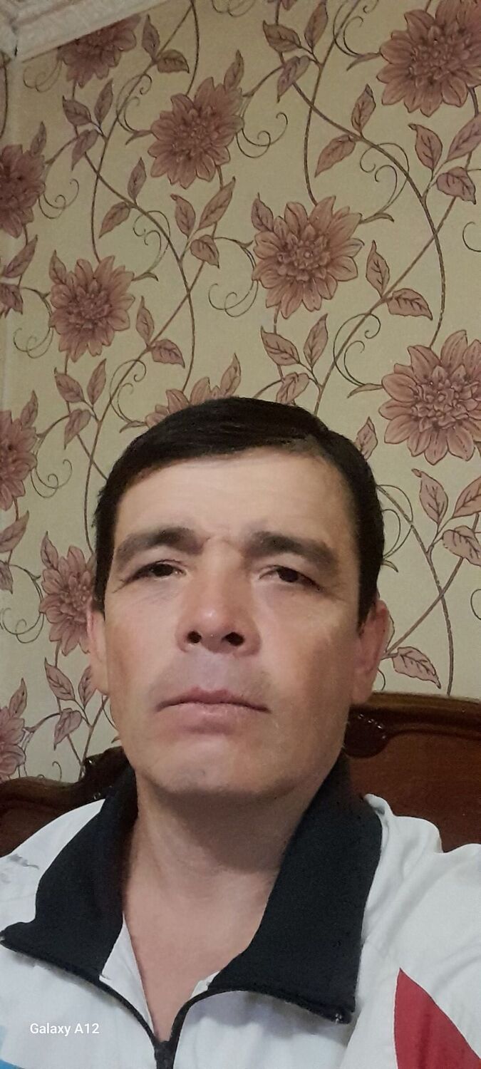  47751583  , 43 ,    -