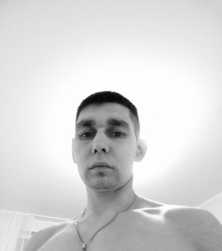  33195353  , 31 ,    