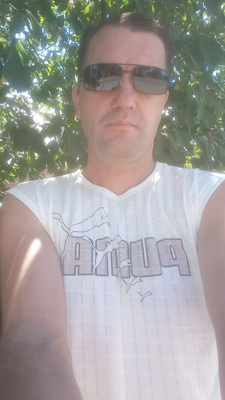  44628293  , 43 ,    