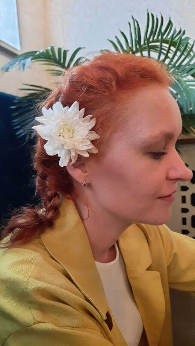  ,   , 41 ,   ,   
