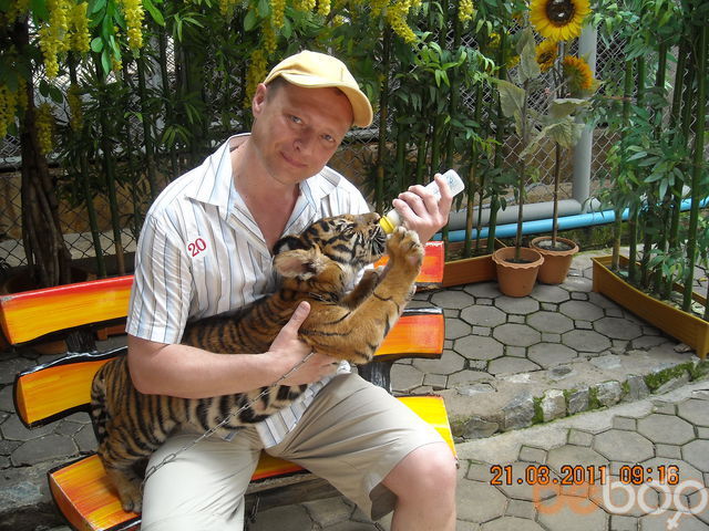 ���������� ������, ���� ������� �������, 54 ����, ������������ ��� ������, ����� � ���������, c�������� ���������