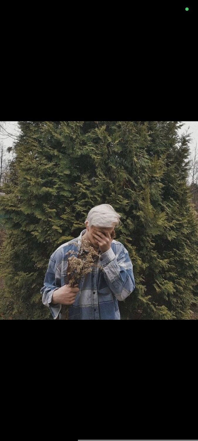 ���� 56219353 ������� ��������, 28 ���, ���� ���������� � ������