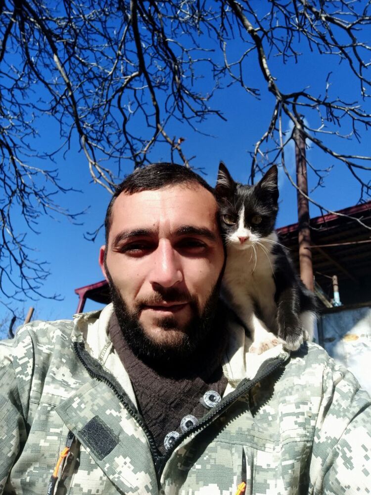 ���� 43682723 ������� �����, 44 ����, ���� ���������� � ������