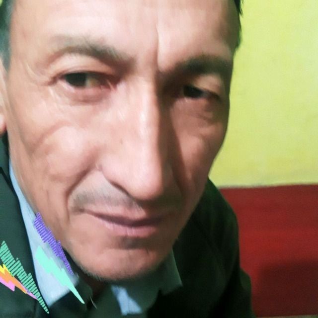  24743423   , 62 ,    