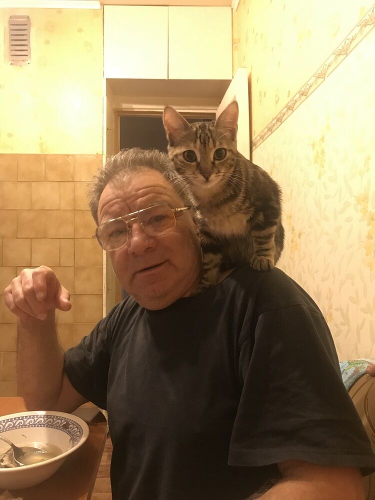  ,   , 62 ,   ,   , c 
