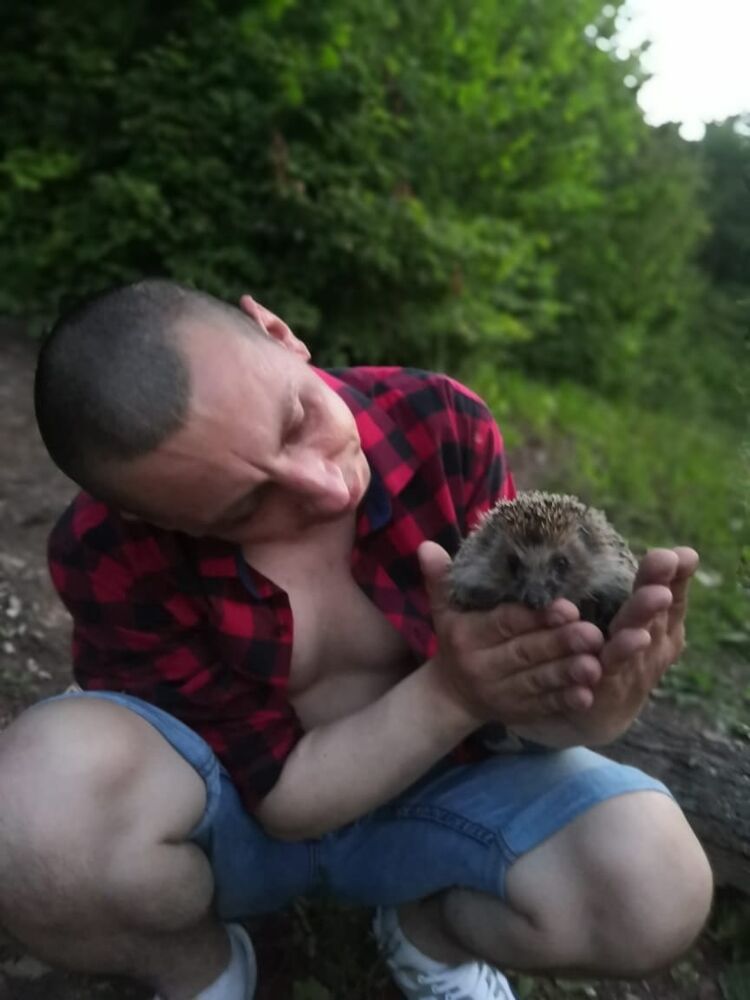 ���� 24479753 ������� ����, 36 ���, ���� ���������� � ���