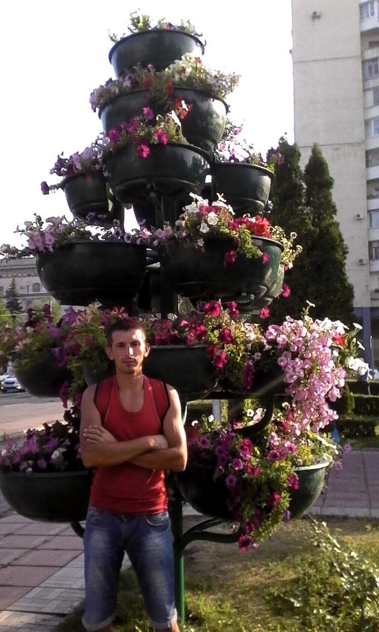  31566673  , 38 ,    