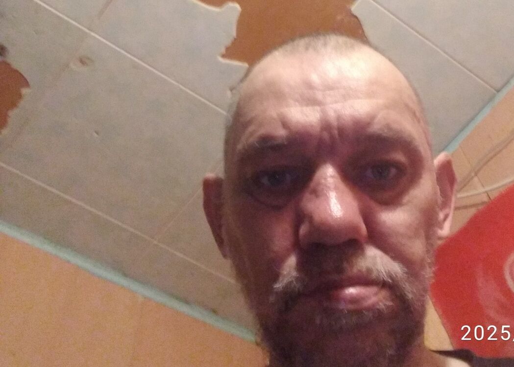  50140863  , 47 ,    -