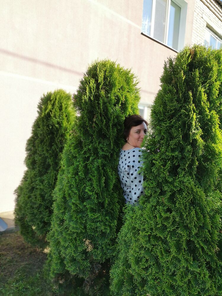 ���������� �����, ���� ������� �������, 55 ���, ������������ ��� ������, ����� � ���������, c�������� ���������