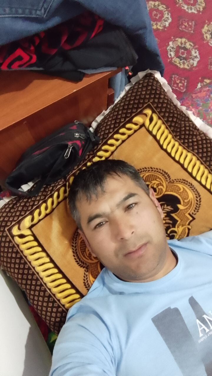  33748863  , 43 ,    