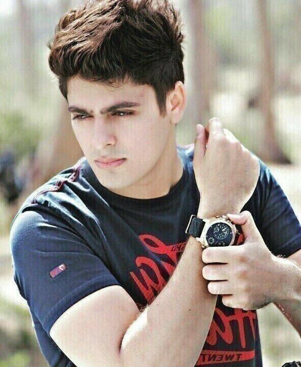  43444573  , 35 ,    -