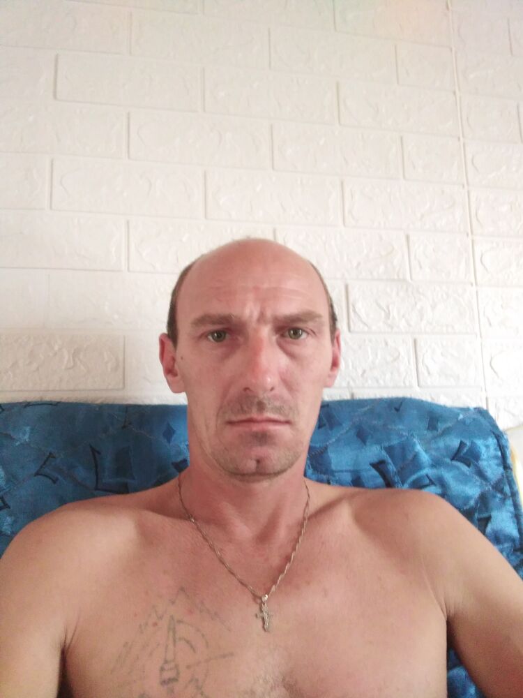  29665233  , 40 ,    
