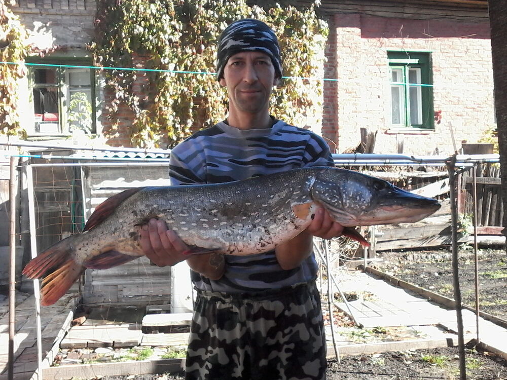 ���� 15384373 ������� �����, 55 ���, ���� ���������� � ������