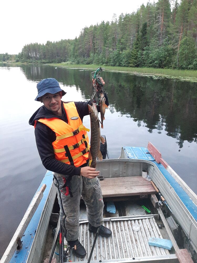 ���� 23345803 ������� ����, 34 ����, ���� ���������� � ��������