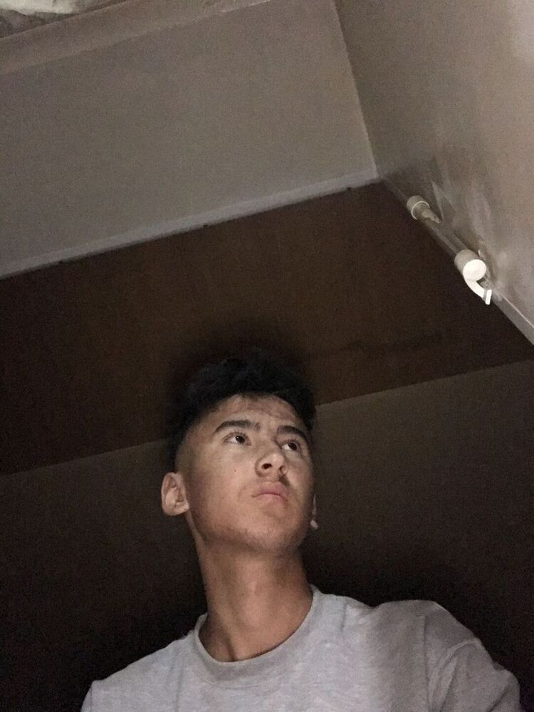  36356823  , 20 ,    