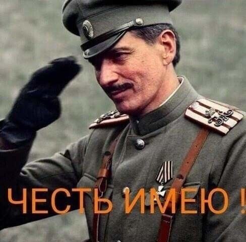  31507163  , 44 ,    