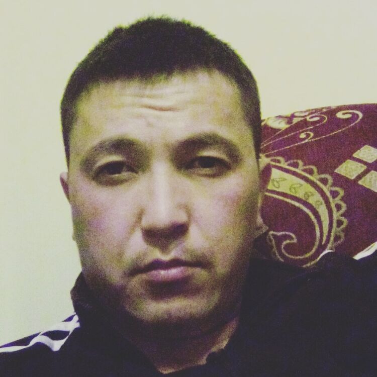 ���� 25236083 ������� �����, 32 ����, ���� ���������� � �������