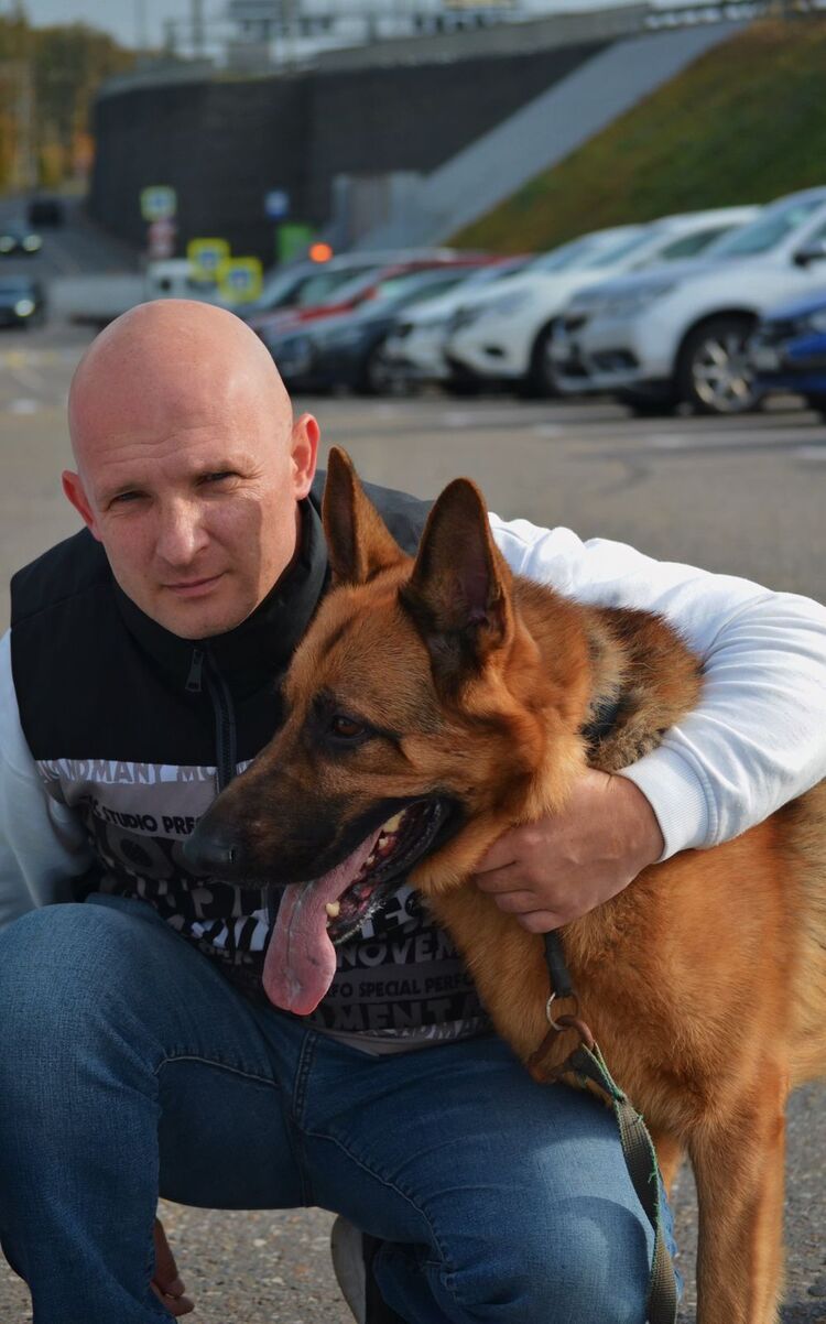 ���� 55864213 ������� ������, 42 ����, ���� ���������� � ��������