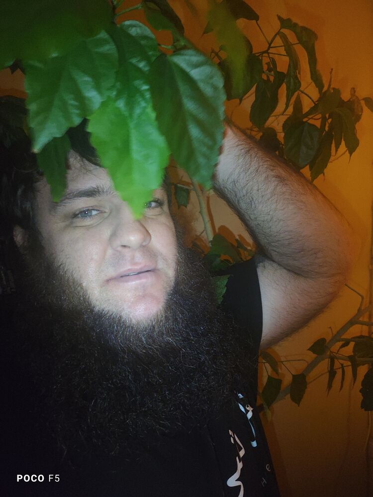 ���������� ����������, ���� ������� �������, 37 ���, ������������ ��� ������, ����� � ���������