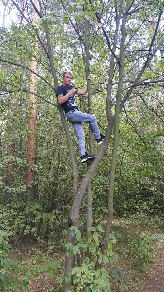 ���� 23469743 ������� ���������, 38 ���, ���� ���������� � ������