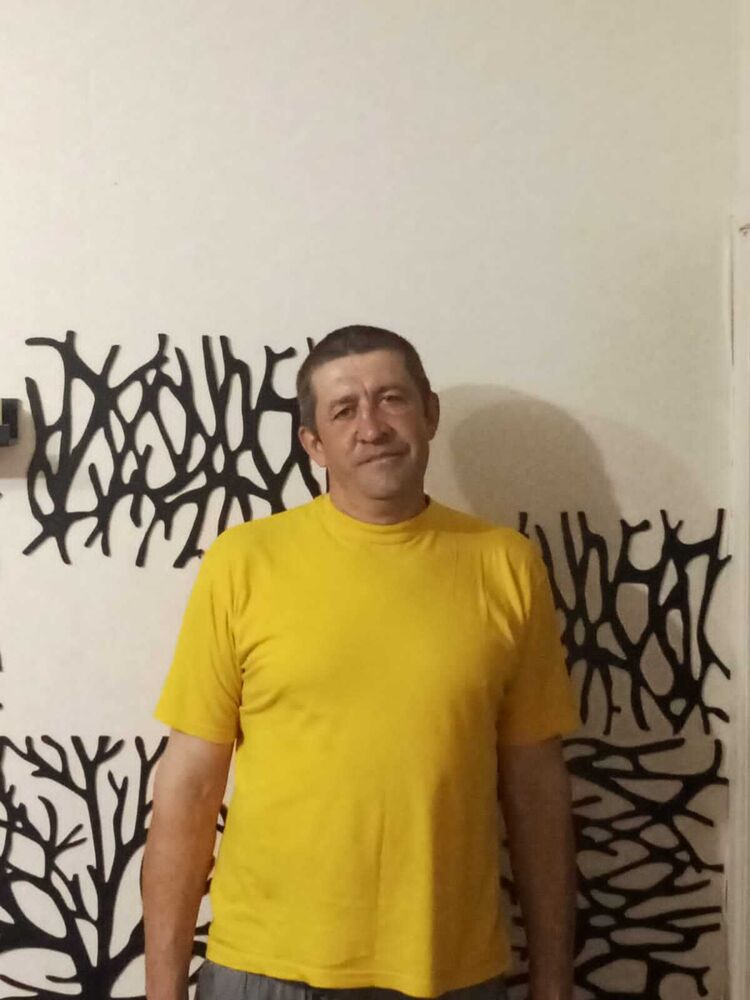  52972753  , 43 ,    -