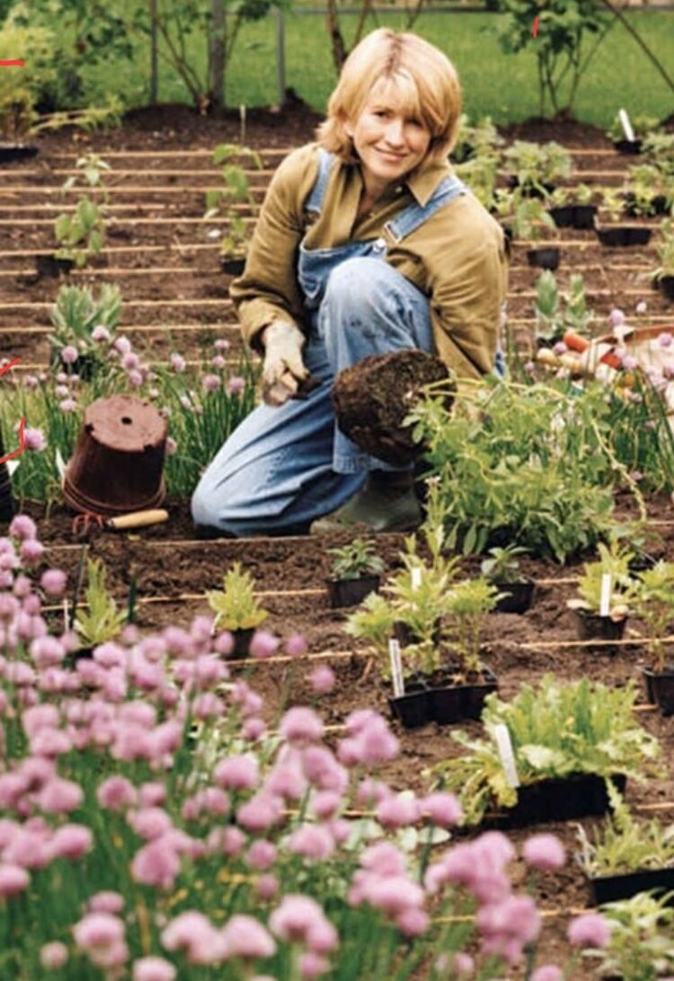 ���� 54411193 ������� �����, 47 ���, ���� ���������� � �������������