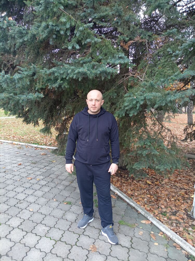  43407173  , 40 ,    
