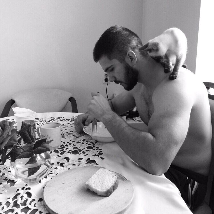 ���������� ������, ���� ������� ������, 33 ����, ������������ ��� ������, ����� � ���������, c�������� ���������