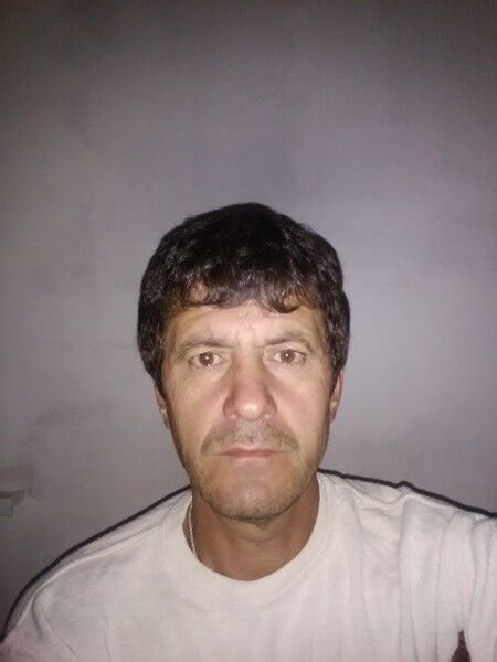 ���� 8094553 ������� ����, 50 ���, ���� ���������� � ������