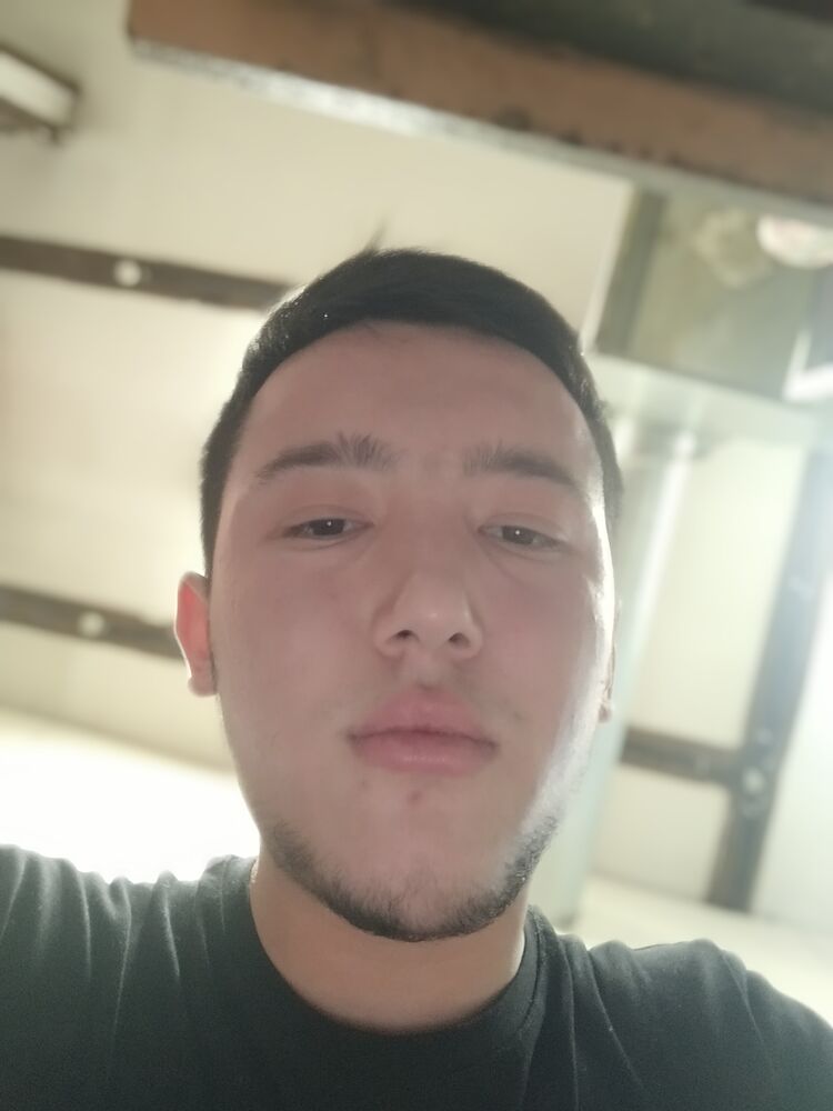  48779003  , 20 ,     